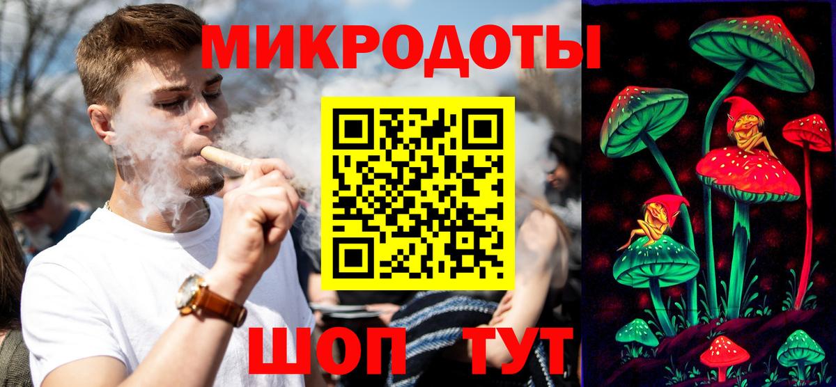 Галлюциногенные грибы GOLDEN TEACHER  купить наркотик  Сальск  Вход с VPN 