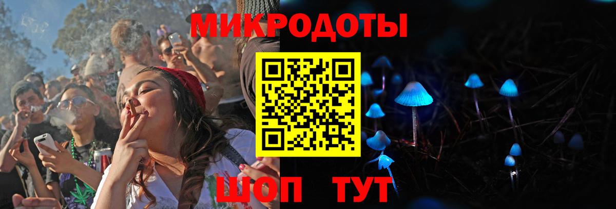Галлюциногенные грибы мухоморы Сальск